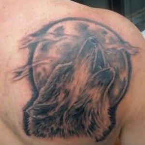 Meet your Posher, Gavynn